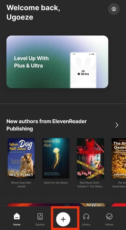 elevenlabs io api docs