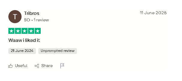 movieflow ai user review