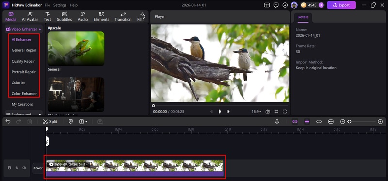 video players windows 11