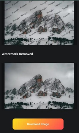 download image watermarkremover