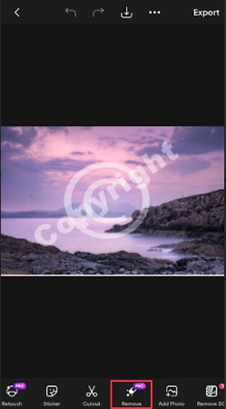 select remove picsart