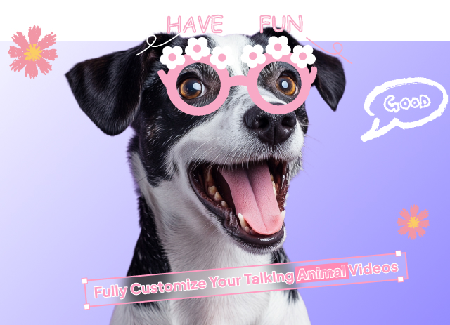 Filters and Stickers