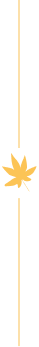 Maple Leaf Border Line