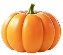 Kürbis