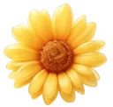 Sonnenblume