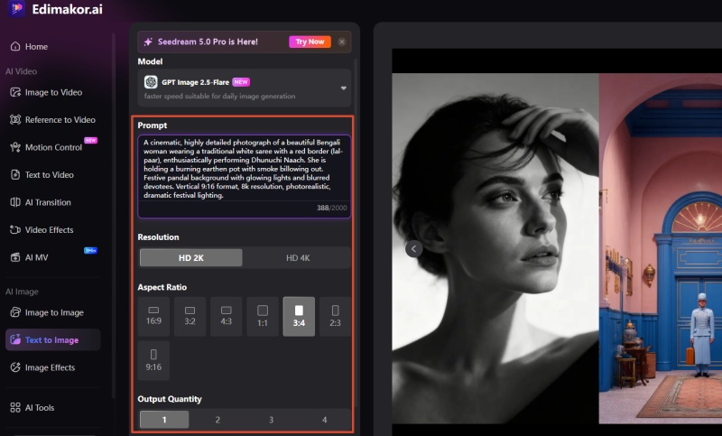 enter the prompt in the text to image tool