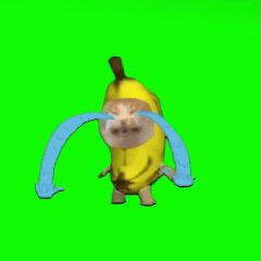banana crying cat meme with tears and a funny custom