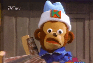 eyes-what-monkey-reaction