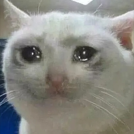 Classic crying cat meme with teary eyes and a sad expression