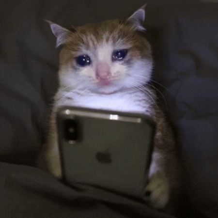 Crying cat meme peeking from behind a screen