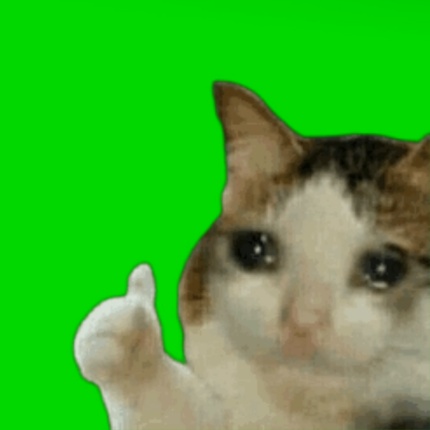 Crying cat meme with thumbs up showing forced approval despite sadness