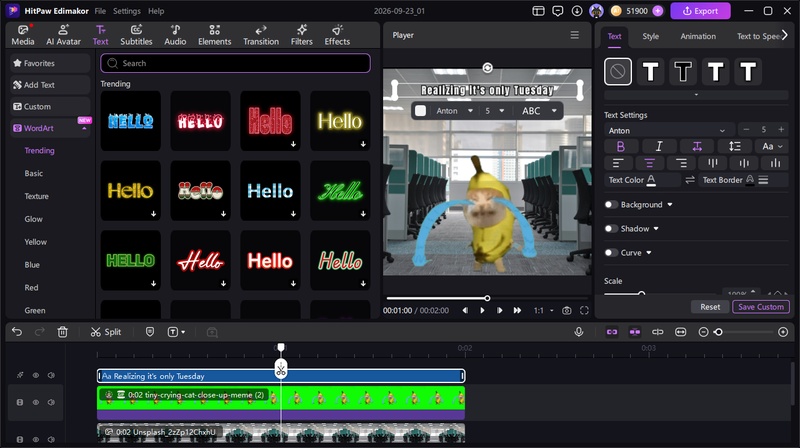 Crying cat video with caption, animated tears, and zoom effect added in Edimakor