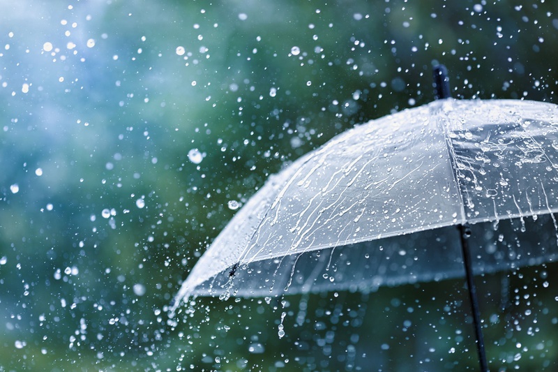 monsoon rain photo prompt copy paste