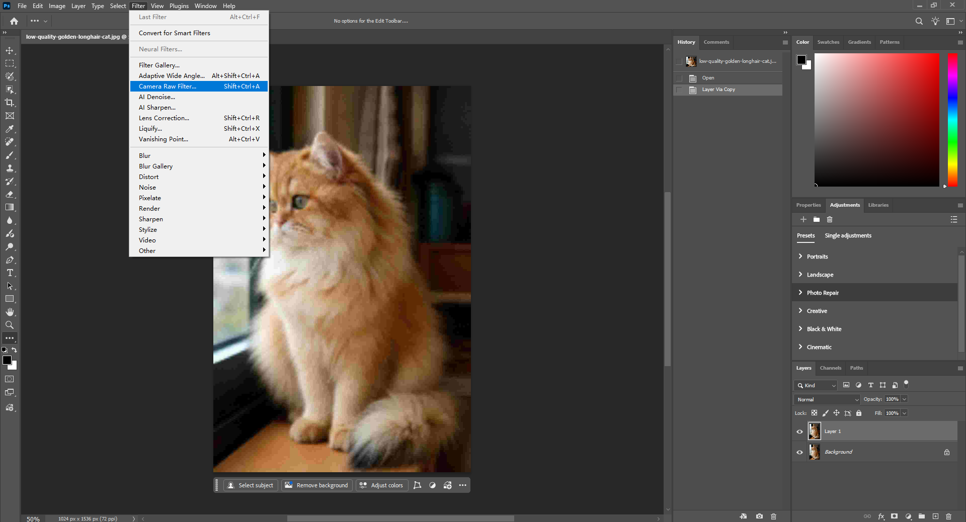 Saisissez le filtre Camera Raw dans Photoshop