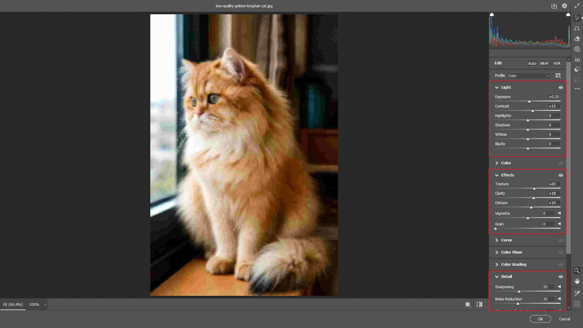 ajuster les paramètres RAW de l'appareil photo dans Photoshop