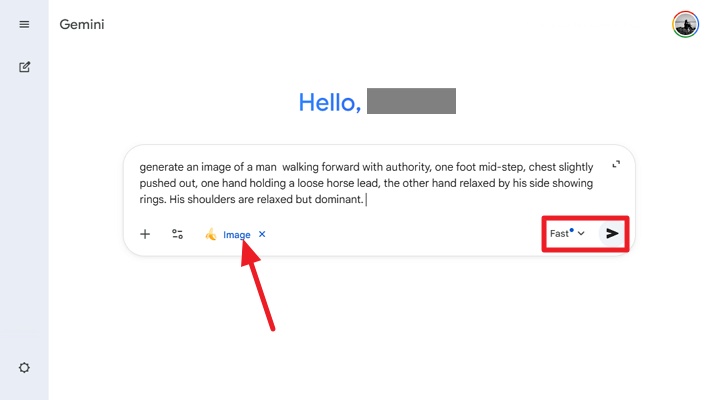 Access Gemini Input Prompt.jpg