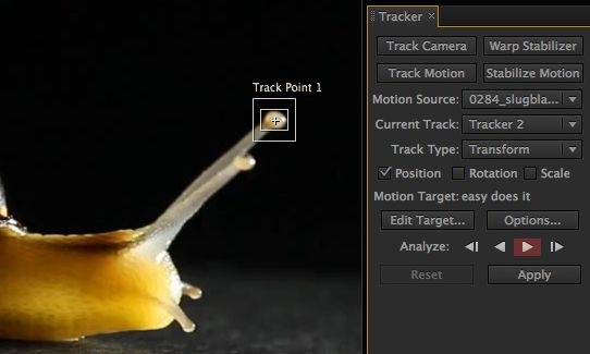 Attach Text or Objects to Footage 2