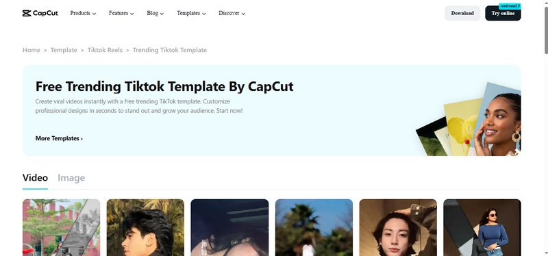 trending tiktok video templates