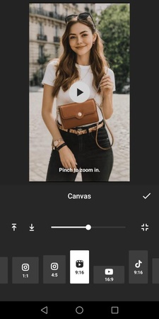 Choosing the 9:16 ratio and adjusting the frame