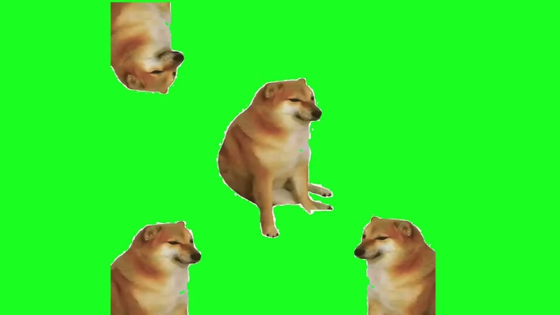 green memes screen