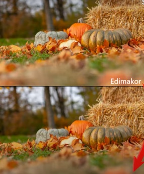 Remove Copyright Watermarks Step 3