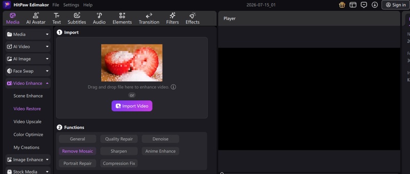 remove mosaic video online