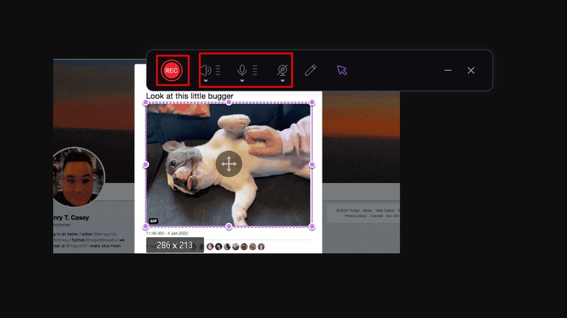 save-gif-from-twitter-hitpaw-edimakor-2