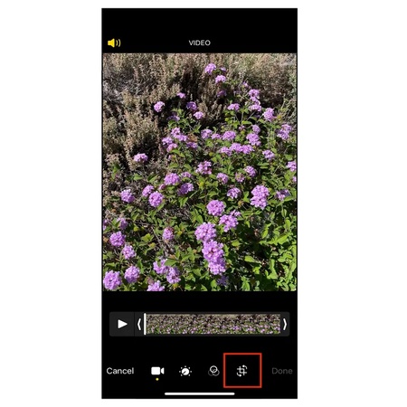 select the crop button