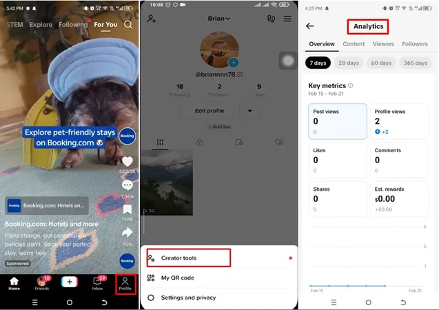 tiktok analytics viewer