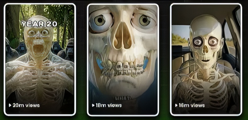 Trendy Skeleton Educational Shorts