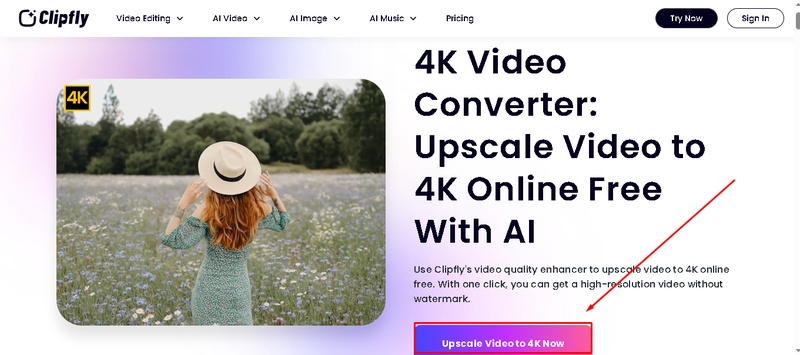 Ai Video Effects.jpg