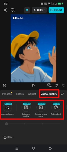 Capcut Video Stabilizer.jpg