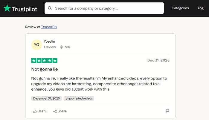 TensorPix AI レビュー1