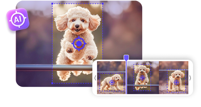 Action Cam Enhancements