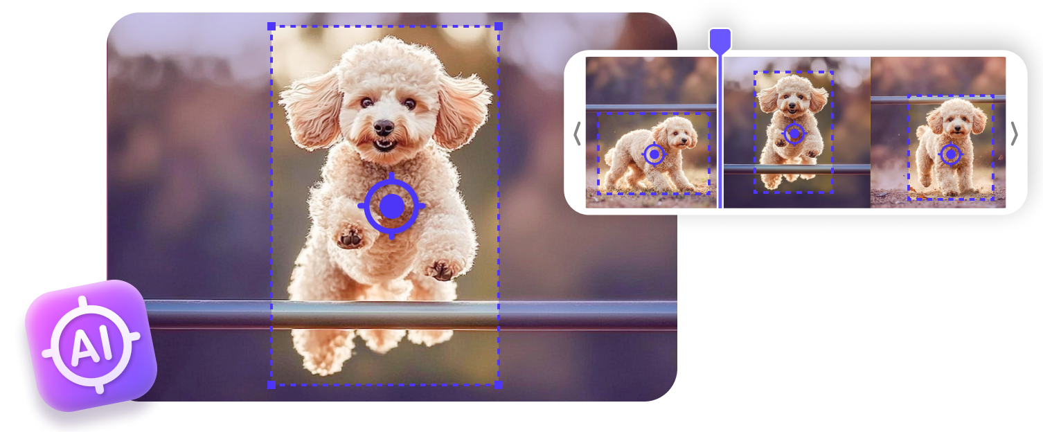 Action Cam Enhancements