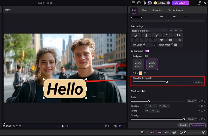 Edit and Customize Text