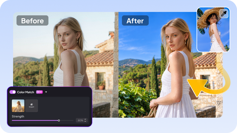 AI Color Match