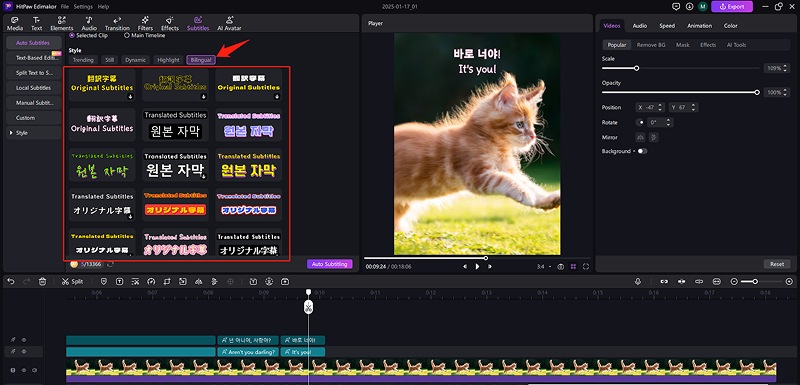 hitpaw edimakor ai translator - bilingual subtitles