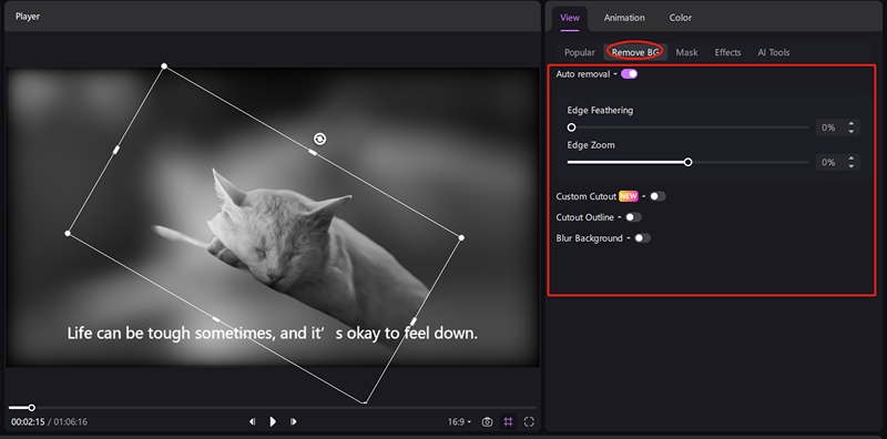 keyframe-remove-background