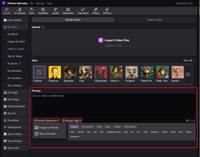 prompt for video to video models
