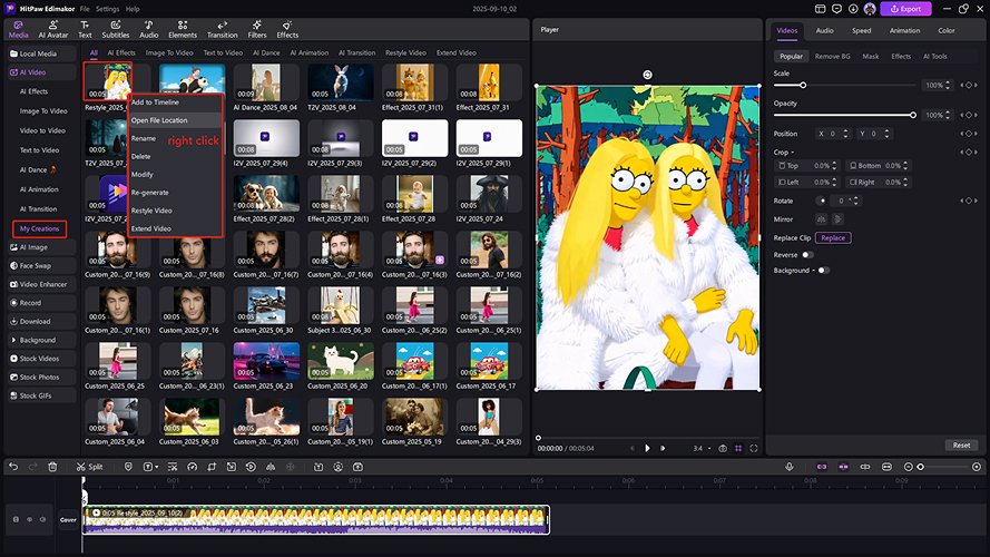 my creations video to video animation
