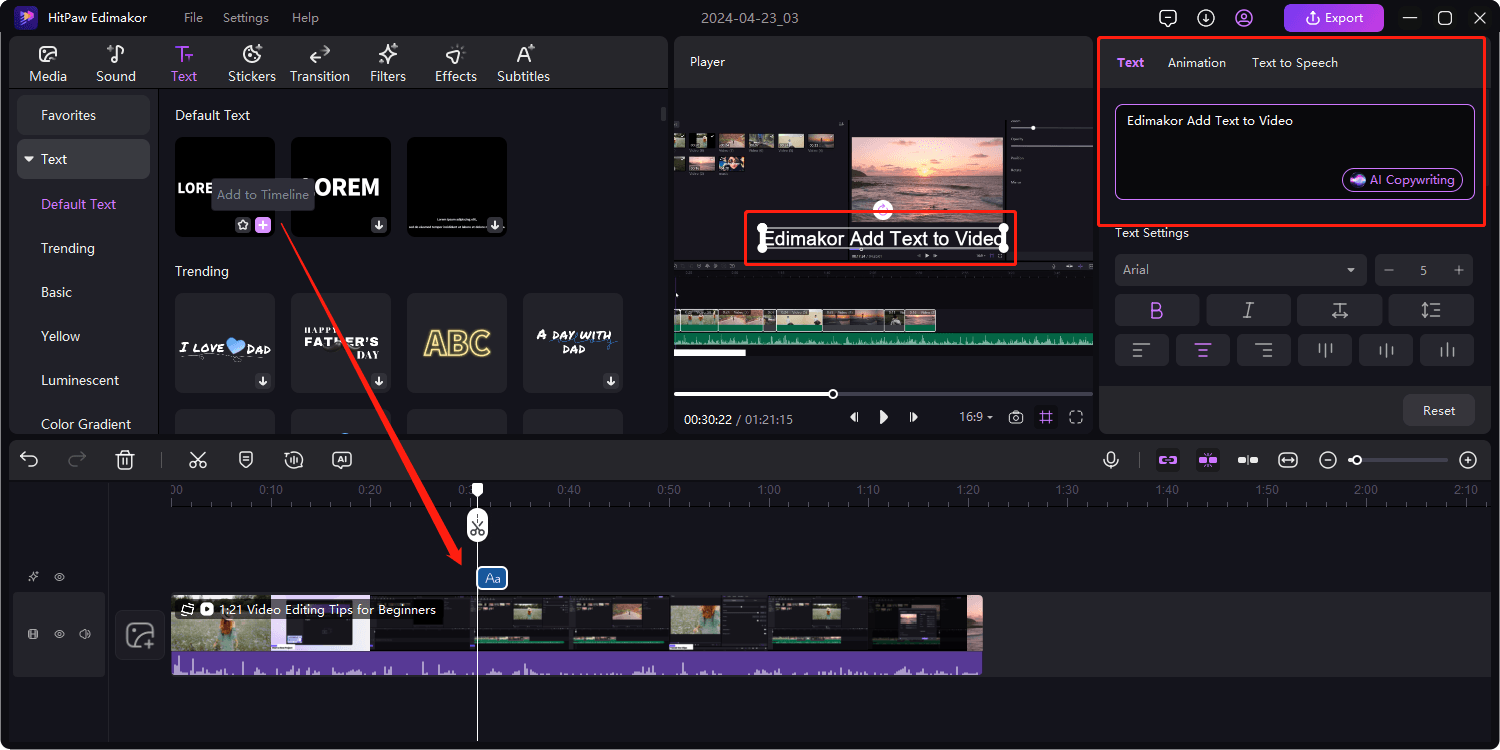 add text to video guide 2