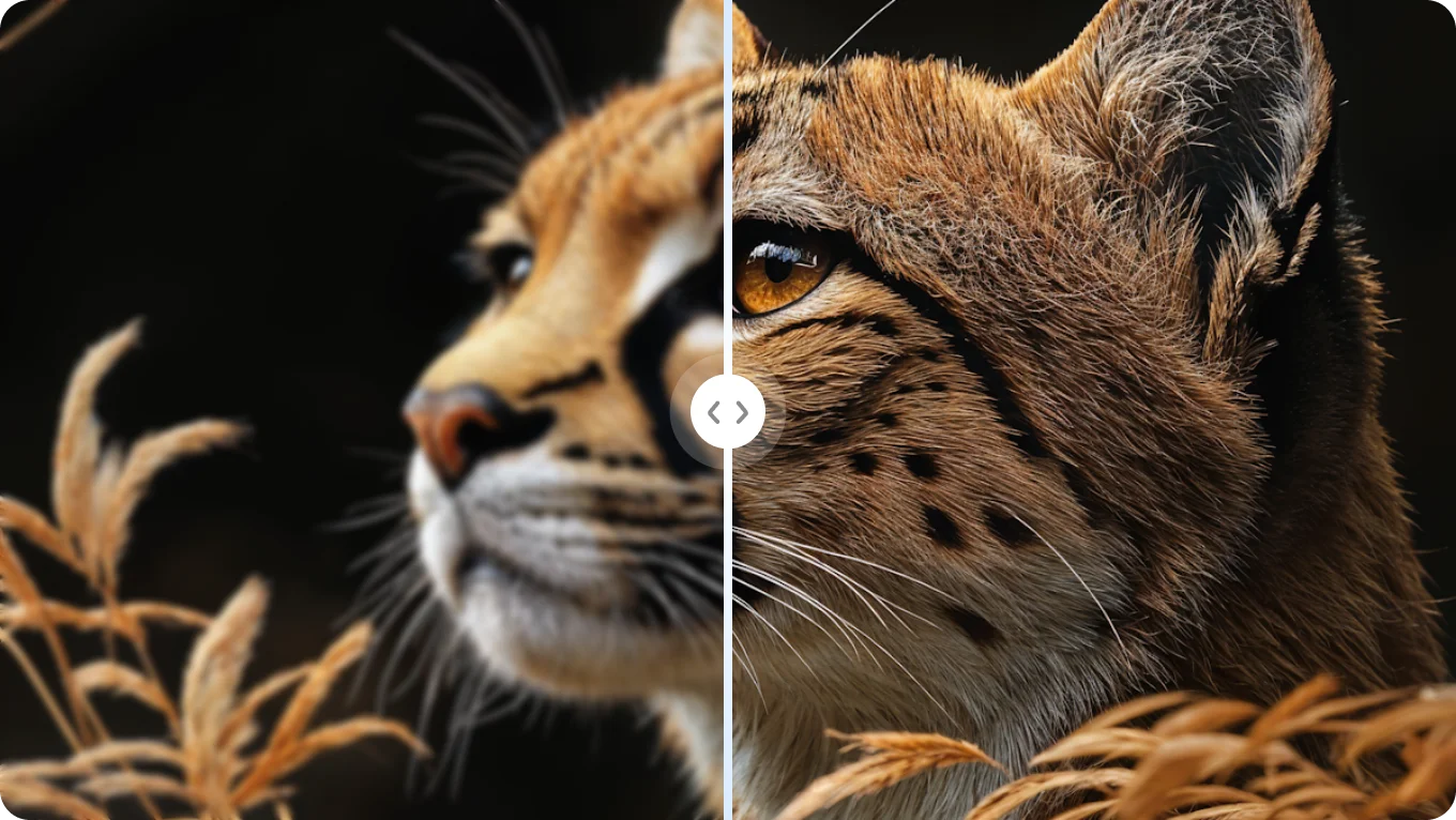 AI image enhancer sample thumbnail 2